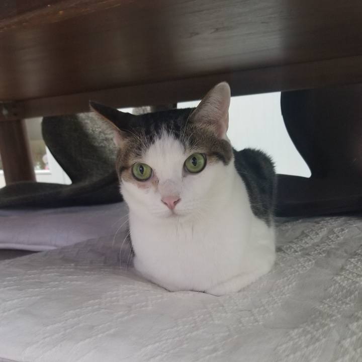 Ee432c97 099e 4c9f 92a1 32fa85024948 1553605305081