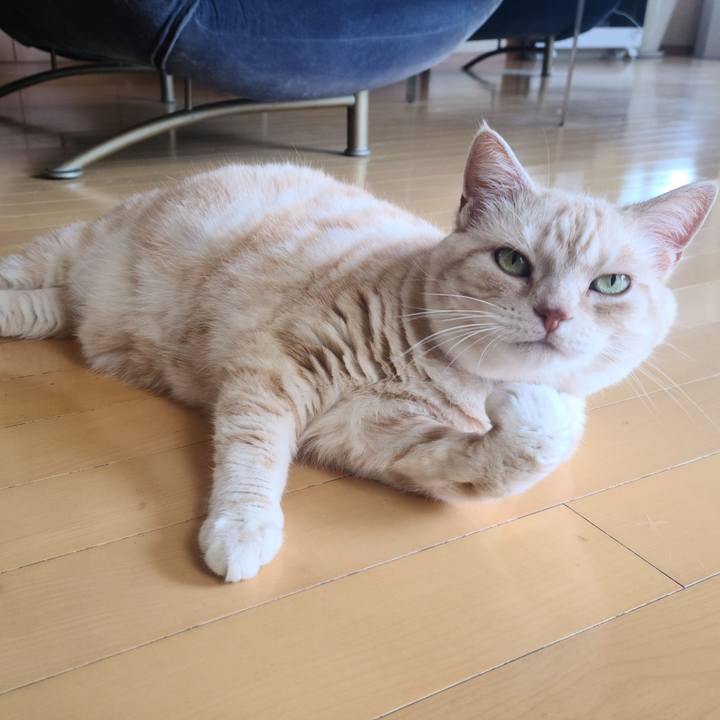 Ee433b50 c28f 4583 9d78 e1d6a9c8f1c3 1654219276602