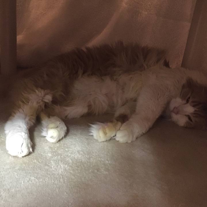 Ee436cdc 1f75 4ea0 a20a c1775a941083 1573389537125