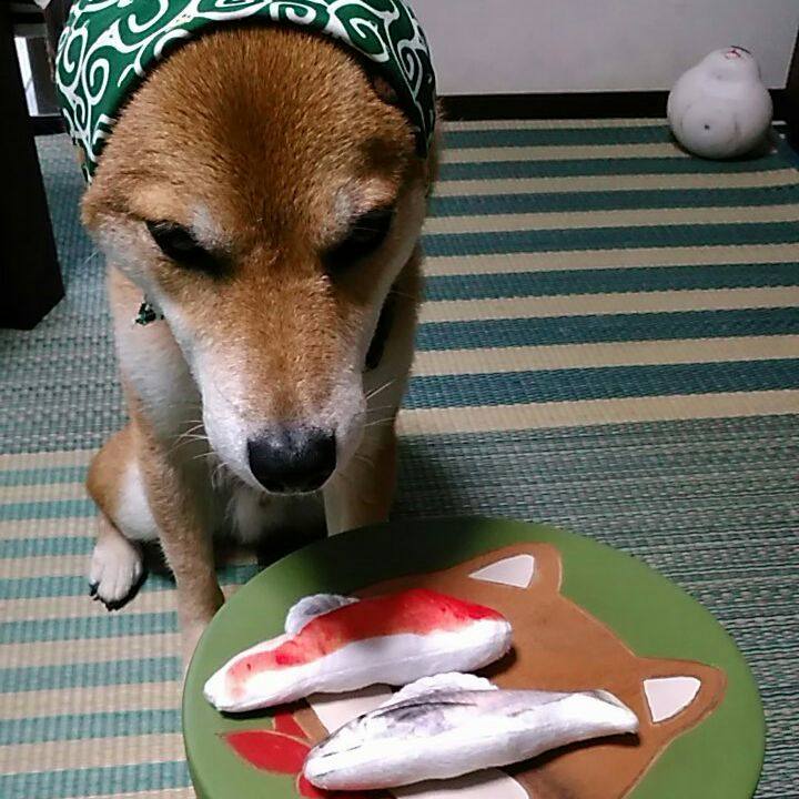 Ee438975 ba6c 4997 bbd0 ccb22f3d4656 1566896497810