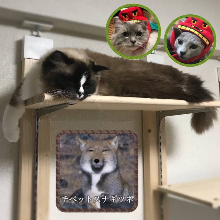 Ee43c8ca 42a9 4286 9ed7 714c1ea91649 1527860365154