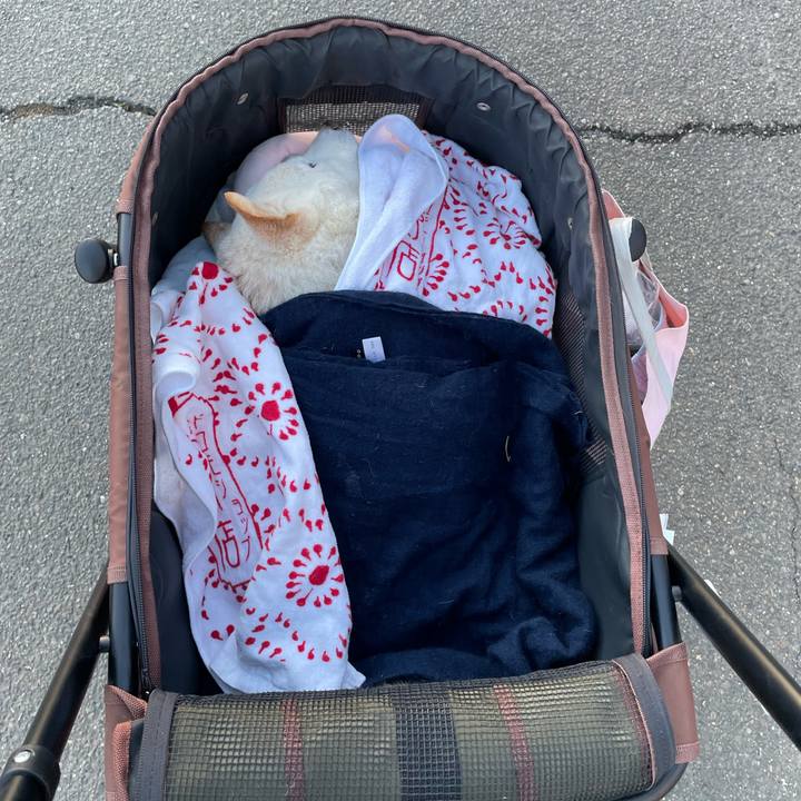 Ee4402ae 0cc4 4ff9 b84b 3beb39e5cd1f 1671967811527