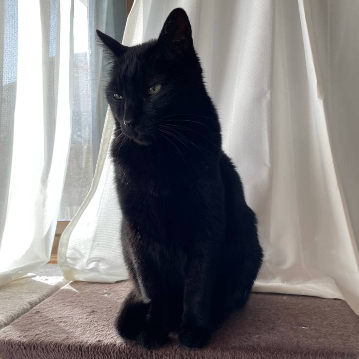 Ee4412c8 3c13 4cc0 a96f 3c0644d16f05 1614217160736