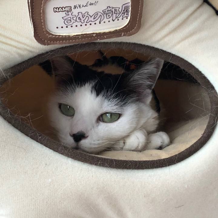 Ee44391e d36e 4965 9afb e73fd5f94614 1556684805192