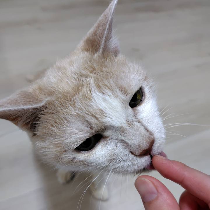 Ee444430 baf4 4e3a 8177 7f5e3ea82290 1719050147147