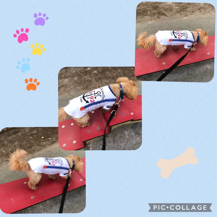 Ee448f38 e531 4b0d bdf2 669c5c032e11 1685359543144