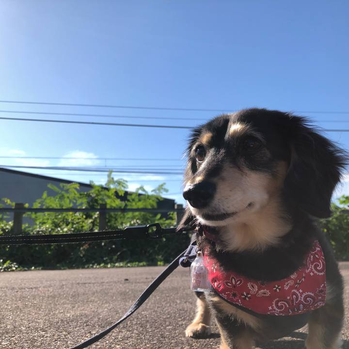 Ee449ca1 c946 416f 95a6 cd457c365f2d 1634689441452