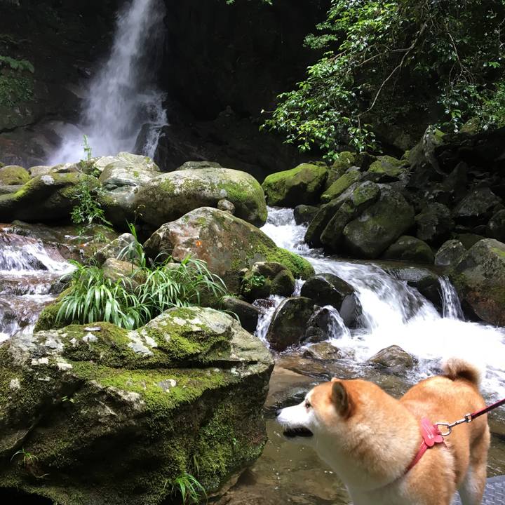 Ee44bf87 5245 4854 b6ba 807fc6cb2520 1563164467011