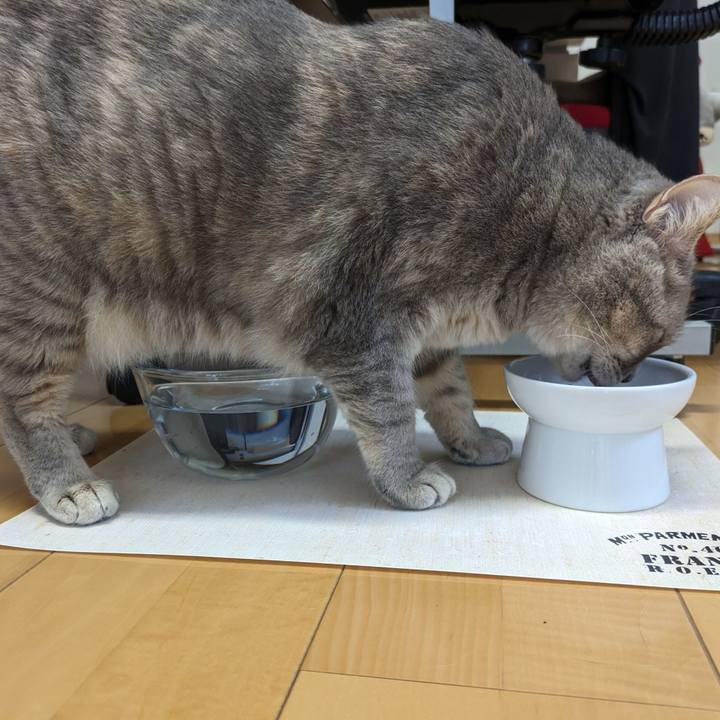 Ee44e097 c2fc 4f03 9214 7b47660a84ae 1689046488353