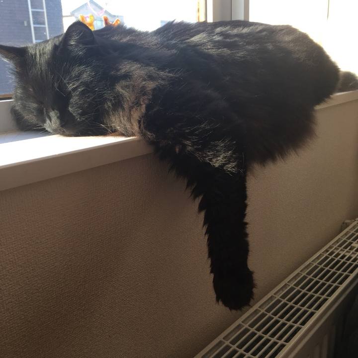 Ee44fa0a 7e9d 41a3 9d1c 437a09b10bb9 1545796788078