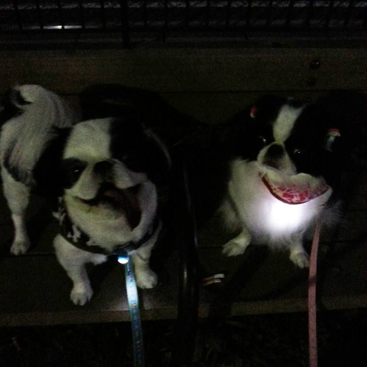 Ee453912 f985 408b a899 26b71c0db9a5 1723804032541