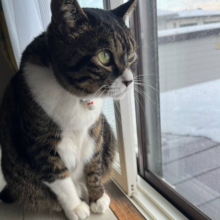 Ee453b01 cd68 4671 bf3b dd2701c8cc4d 1768434882821