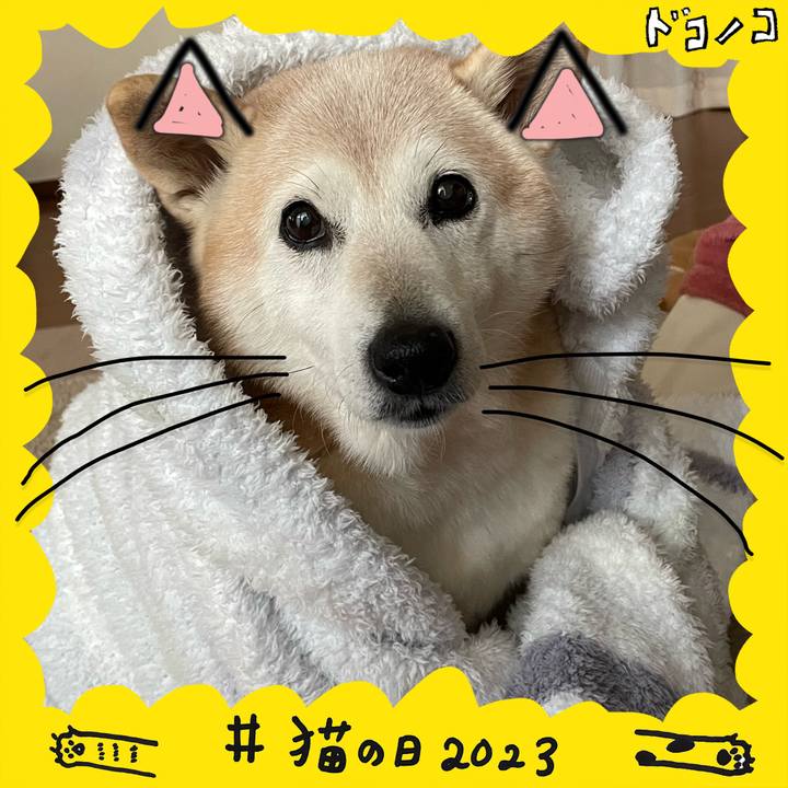 Ee456821 29e6 42d0 b904 e943d6fe369f 1677063304971