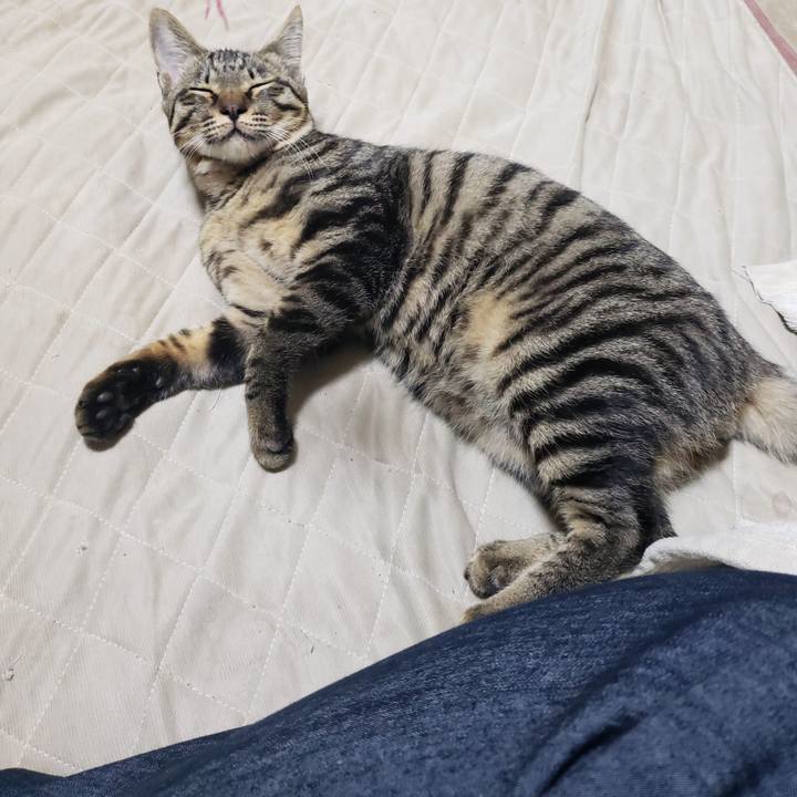 Ee4597c9 9dfe 4e66 801b bc52b20d0ffd 1542707792333