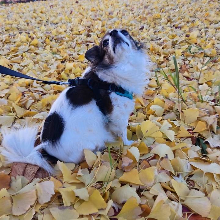 Ee45be93 20da 4eda beb0 99b9ece601bb 1733448464253