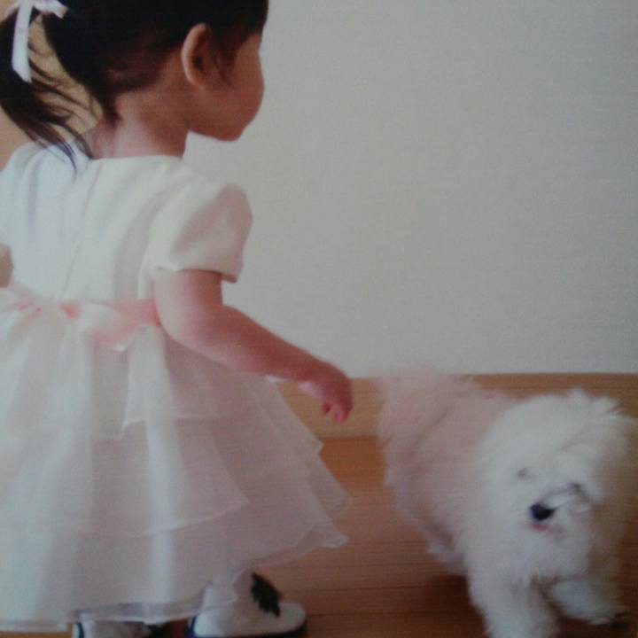 Ee461cf5 333e 44a4 aa27 f45e7f73cc70 1512954250454