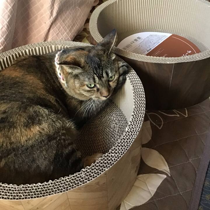 Ee462931 6608 48e8 b79e ec2d8af89648 1697541767711