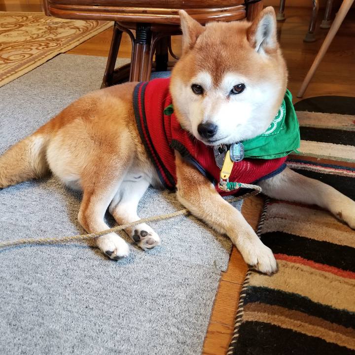 Ee462c8e 9438 42ca 9579 129e01df5a2f 1561597031872