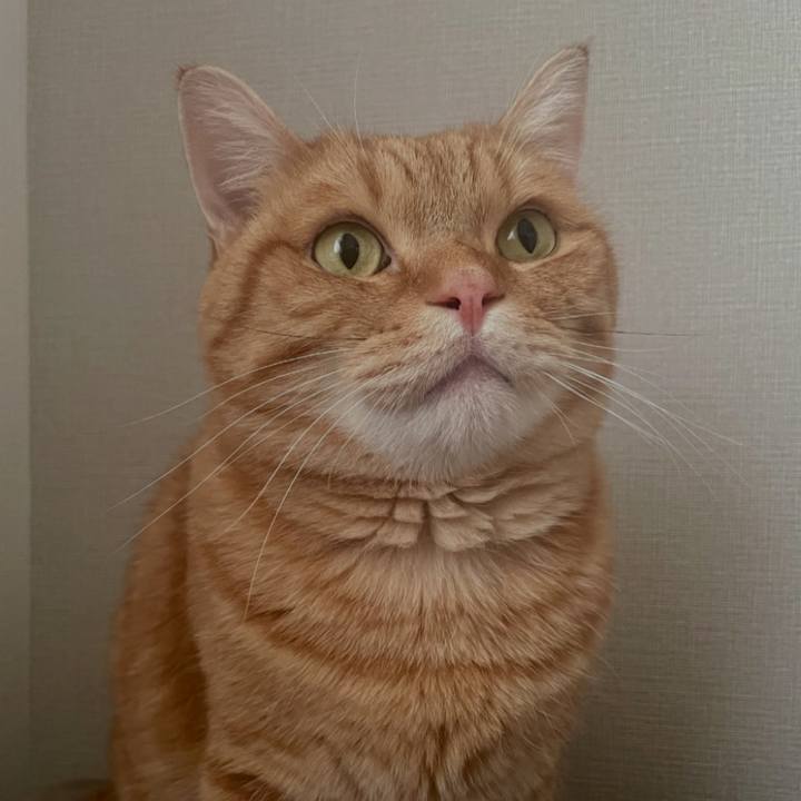 Ee4633ad 0ade 411c 9282 aac63f1b6552 1769643195417