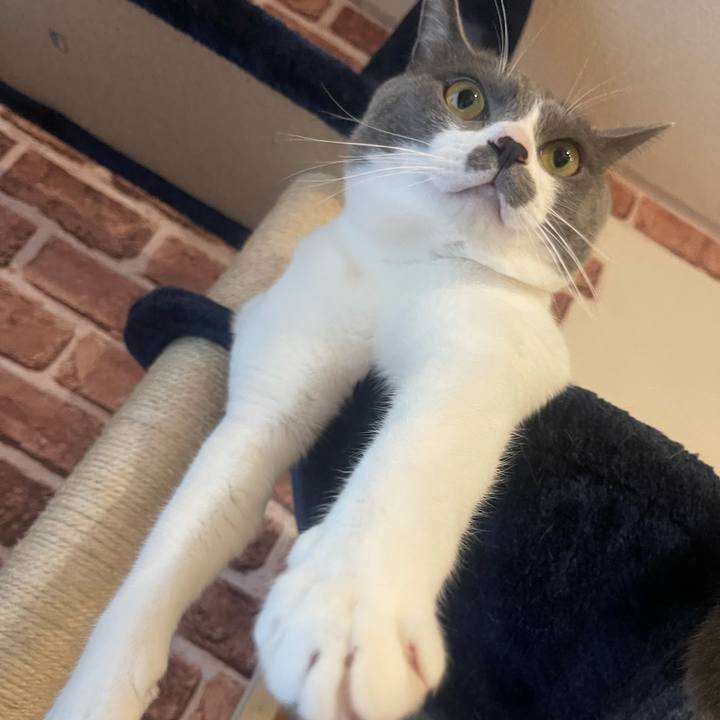 Ee465eb9 7132 4485 9e3e f755b0bfdb06 1631003004701