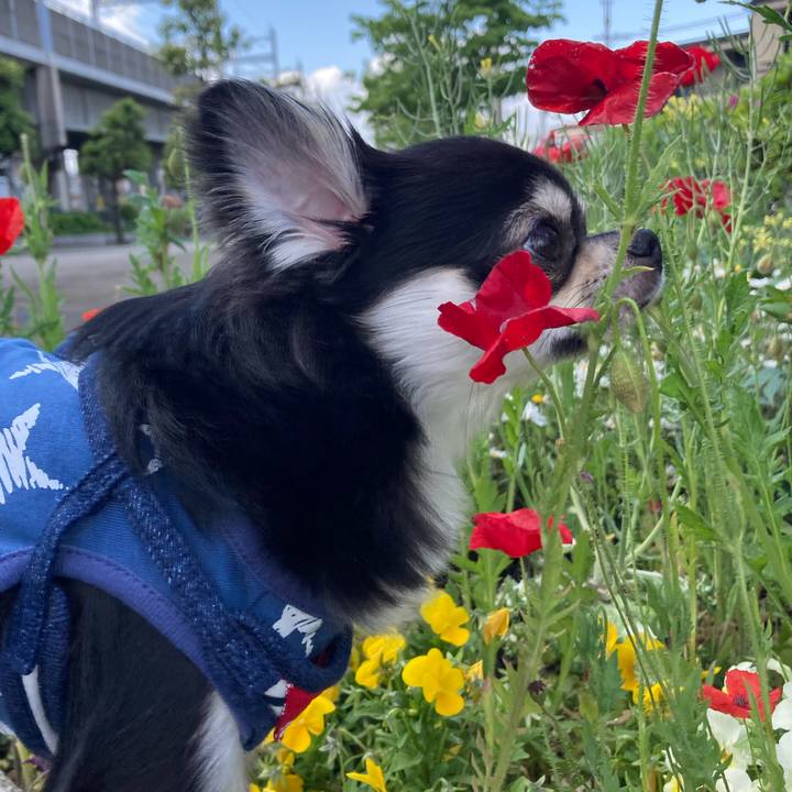 Ee466852 7529 47db 993c 863a0c986385 1619938947388