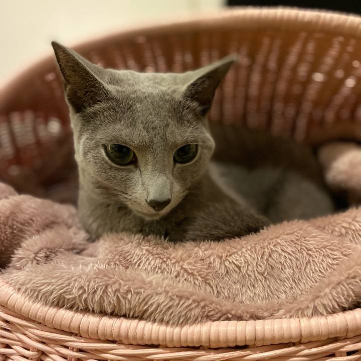 Ee467b54 64fd 4f37 950e af10993fe220 1673516216348