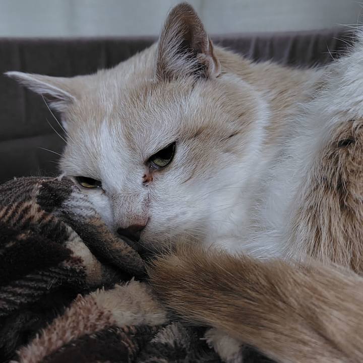 Ee467cc4 8328 42d5 bde2 d9be689ff095 1766500424459