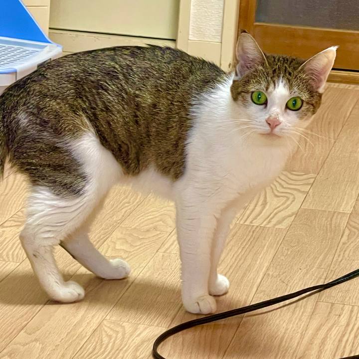 Ee469cab 2c14 4e00 affc ab9e9a794cd9 1630197734100