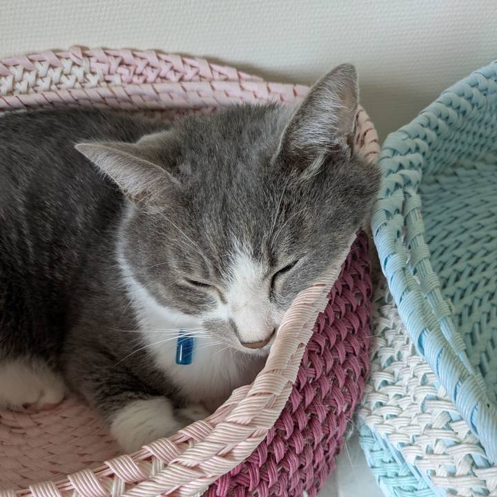 Ee46e541 e5b9 4f77 9cf0 17b37d85e482 1754703934097