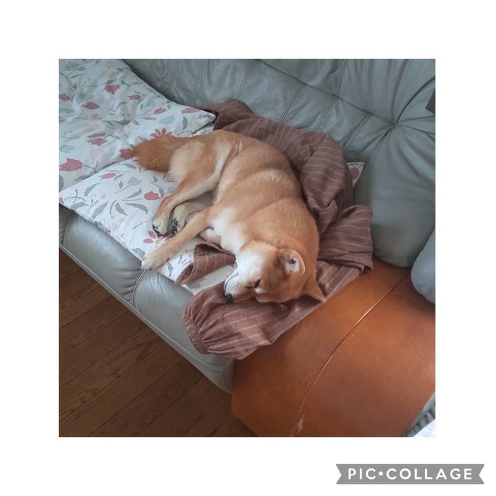 Ee46f631 5491 4be1 afbb a92da7287efa 1713146339741