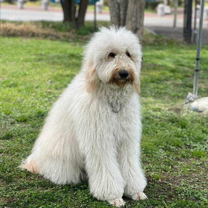 Ee4729ca 129b 4bf5 983b 4312b82deed7 1745883905264