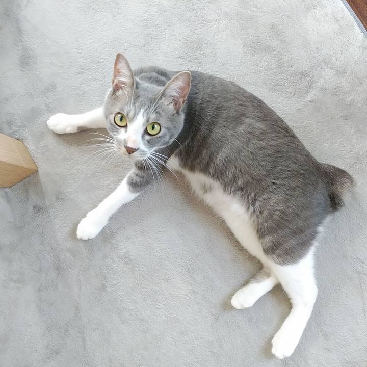 Ee47480d 30af 4ae9 bdd4 871685305d52 1595115981931