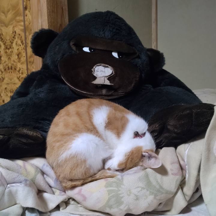 Ee478da4 5d25 4851 a90a 1a06f3c2b951 1761305957978