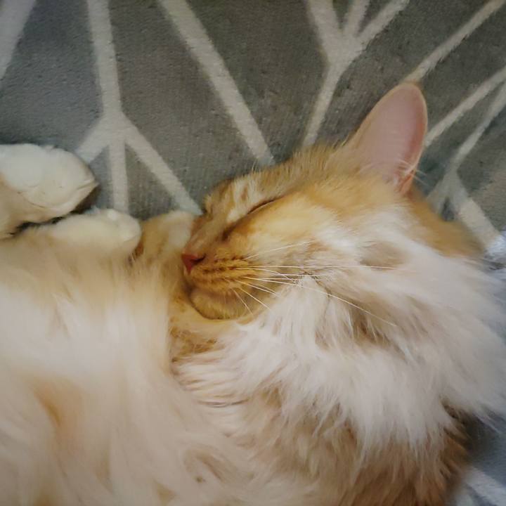 Ee47d884 0437 4dde a027 cc271223108e 1707733063763