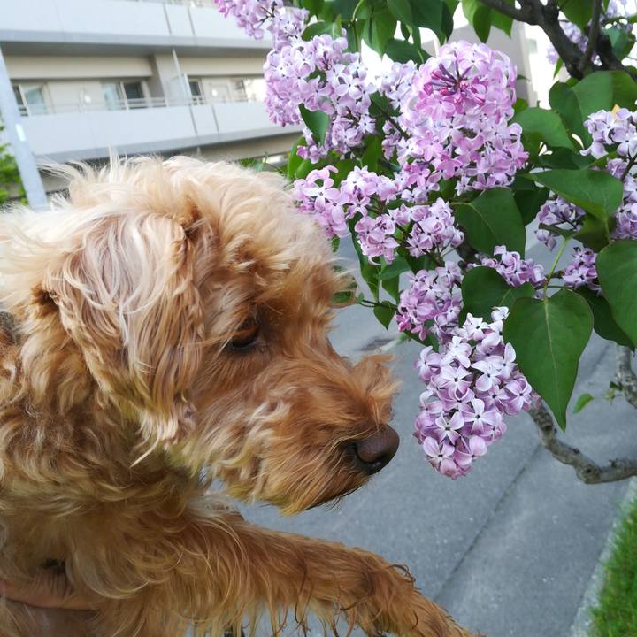 Ee47dcde 8f2e 4232 97ff 2e950f4ec0f9 1527025654674