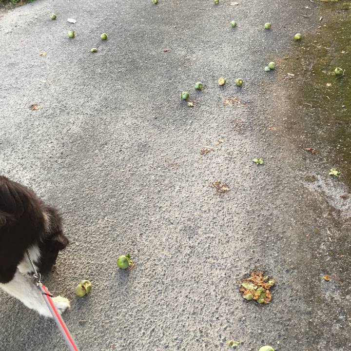 Ee47fddc a76e 447c 8f87 72769fc3e852 1533761820043