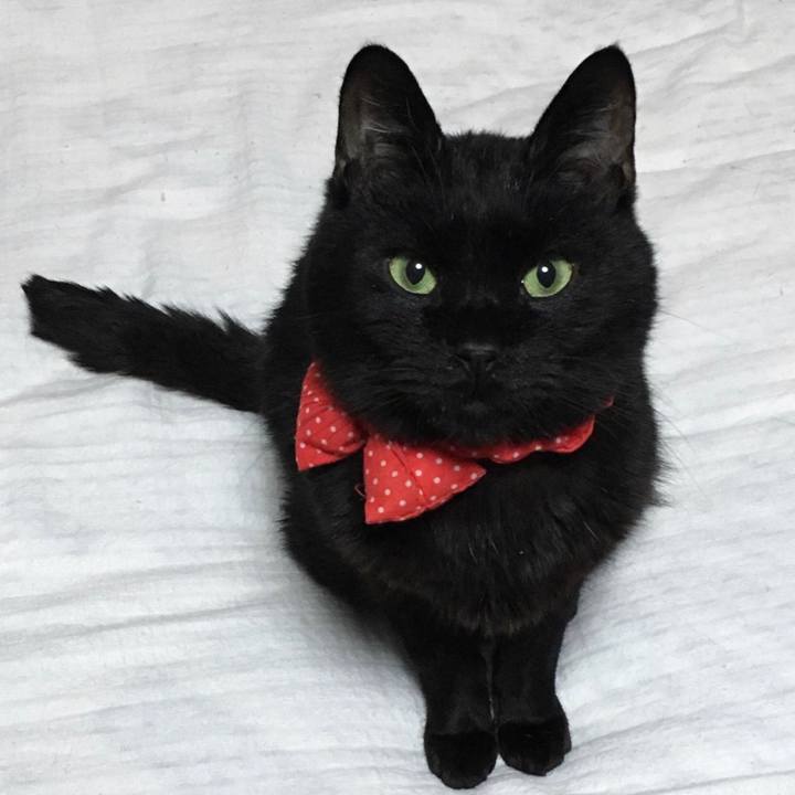 Ee47ff5c e381 46d4 82de 54e4317e0760 1581398820264