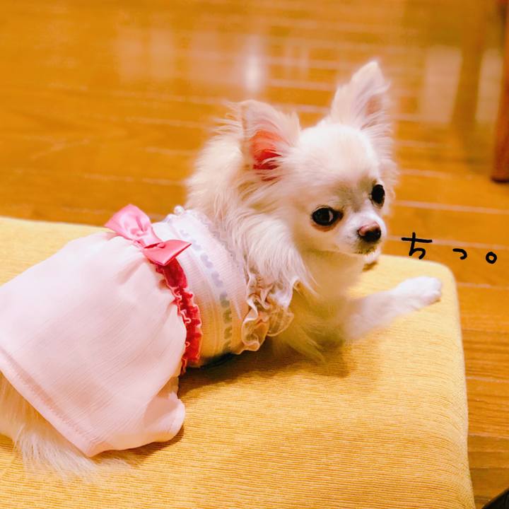 Ee480080 6097 428f a267 e0c3467b8ee5 1562848369449