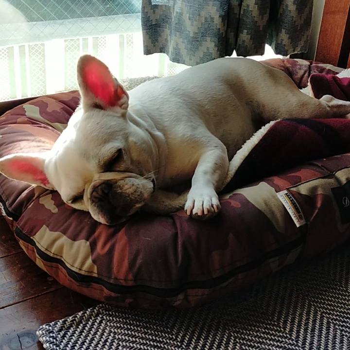 Ee481229 39ba 4e1d 8ec3 537da028711d 1665443867609