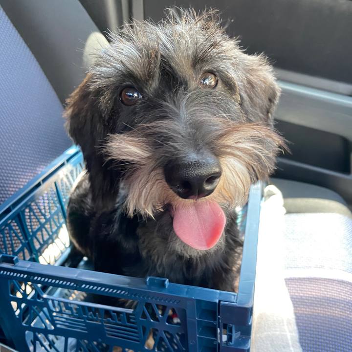 Ee481b44 3725 4109 aada 0a034cf2cd40 1590634003914