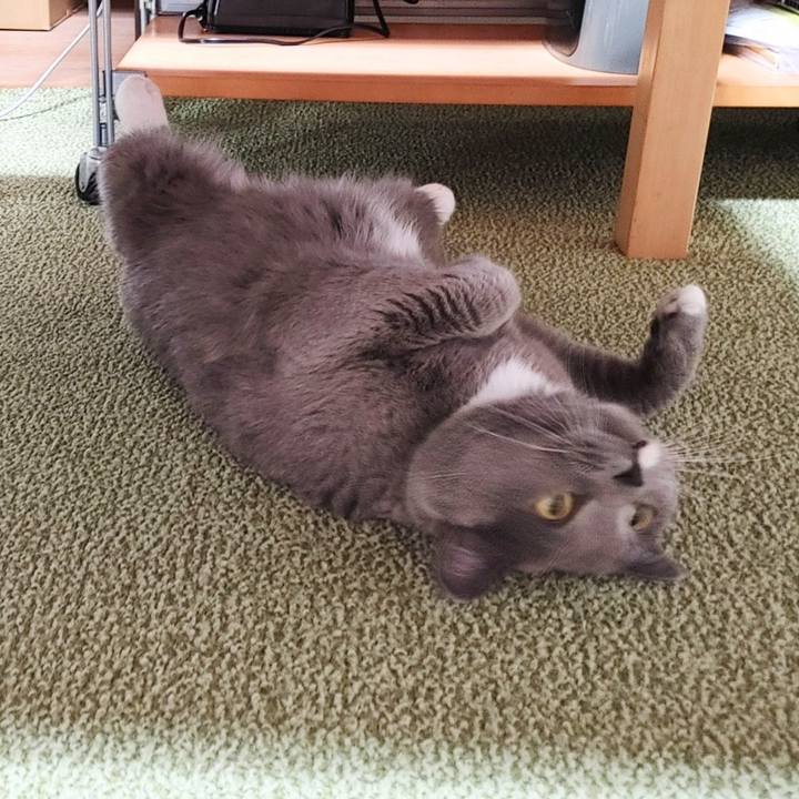 Ee482ec4 5f00 4587 ac83 048c99829fa6 1667472169948