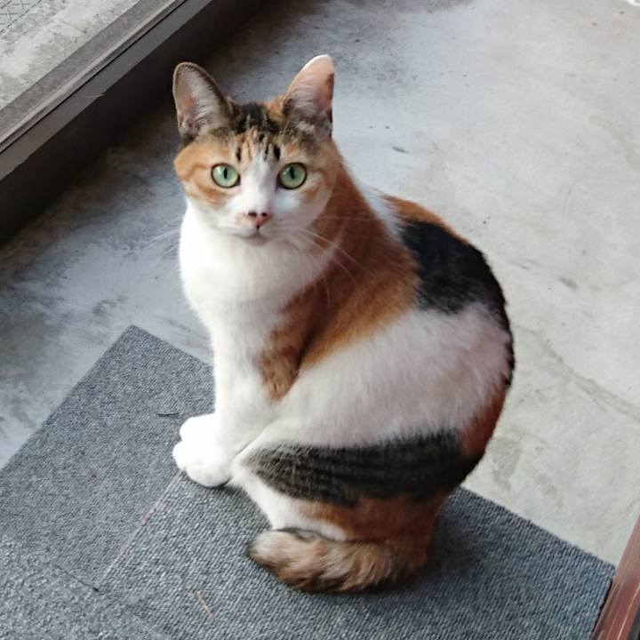 Ee484687 0428 437f af6c c89bfb761cde 1525000739754