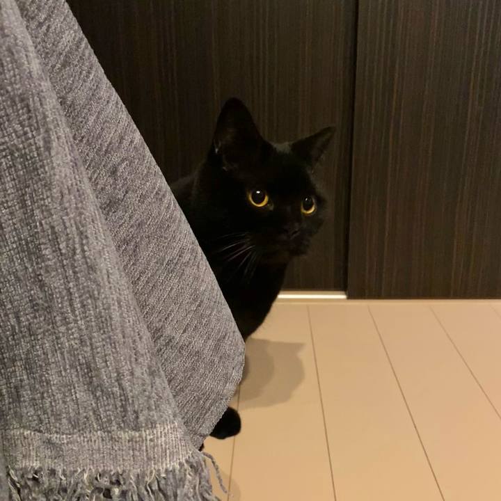 Ee4858db e446 4908 b648 6cc0955d3d43 1739532945678