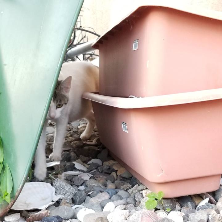 Ee487678 bf60 485e 973c 672dcad8353e 1563367018506