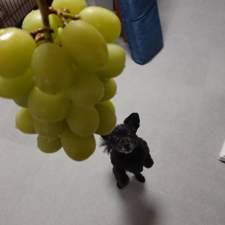 Ee48a6b6 cd0f 4ec1 8e96 cd576202250a 1571739787558