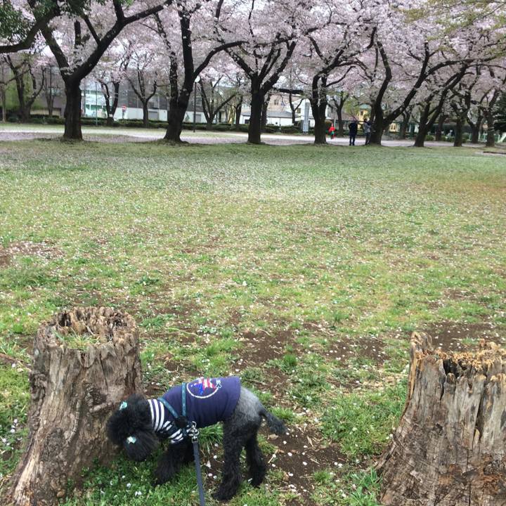 Ee48b2a6 7a23 4f26 a531 5a0a4e7df1e0 1554697912072