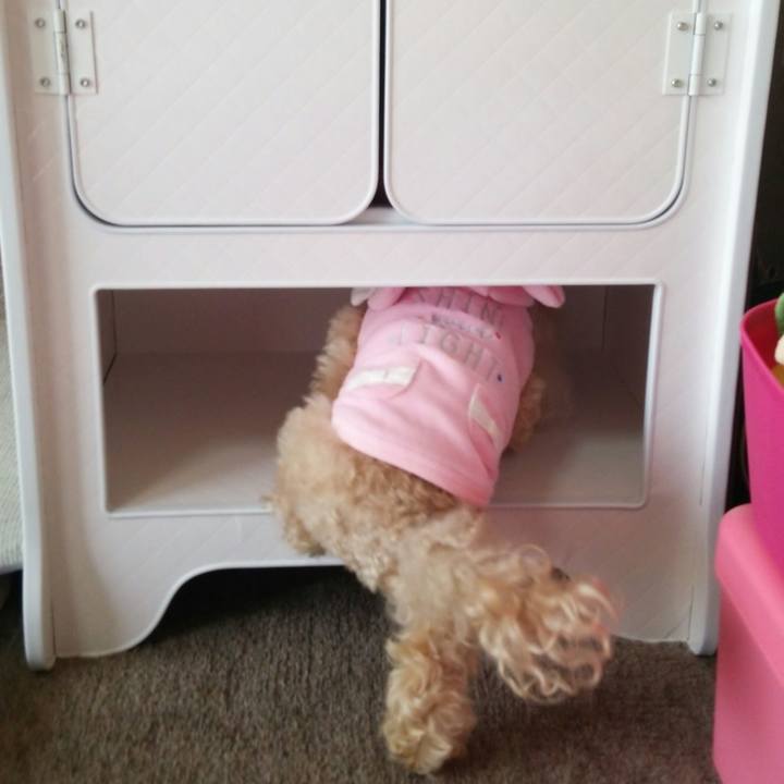 Ee48b994 8e78 4b01 9f06 f5128a2c6f69 1547628160963