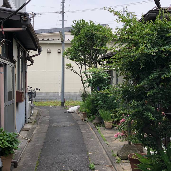 Ee48d3f7 ee1f 4d8c bf3c e6b8eb9a3cf5 1527777474326