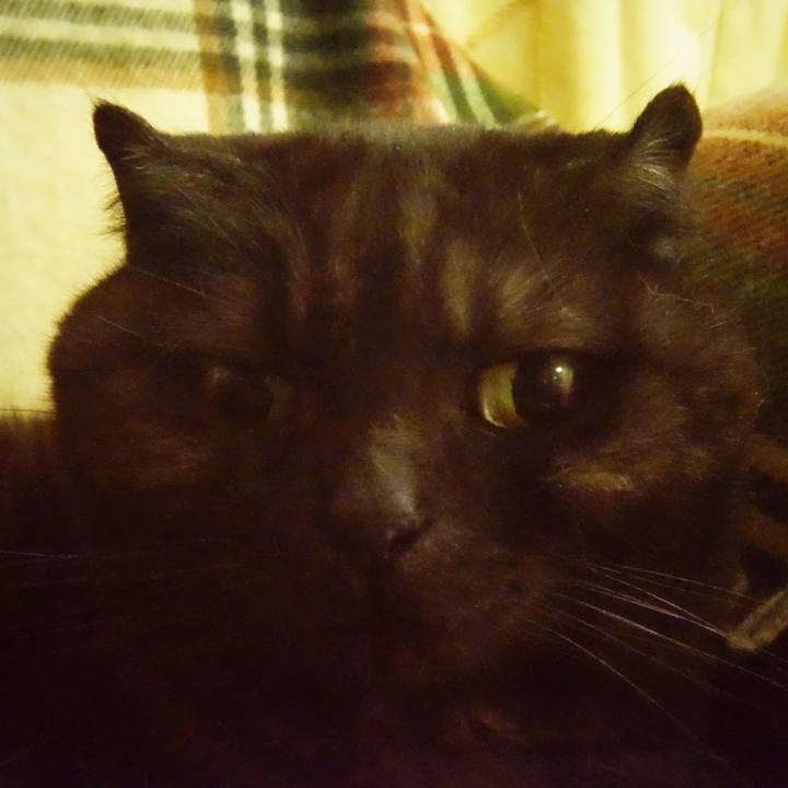 Ee48fd7d ab63 40b8 a7b2 39b725b9dbfb 1522335716869