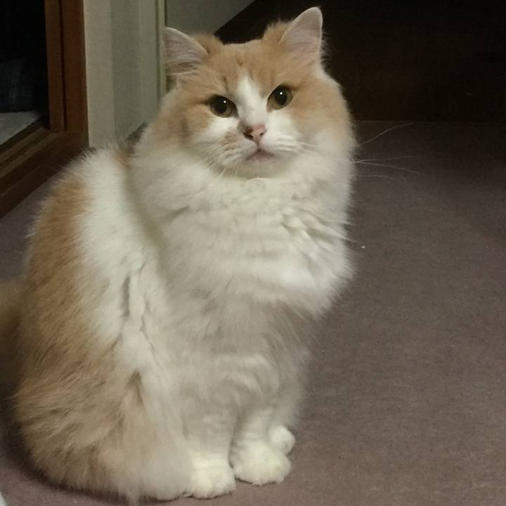 Ee4923fc 5ea5 4261 819d 45c9342590b8 1536185791709